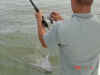 Crystal Beach Fishing - June and July 2006 - 035.jpg (53422 bytes)